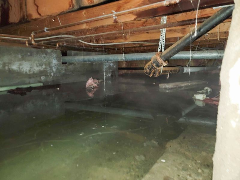 Basement Restoration Service