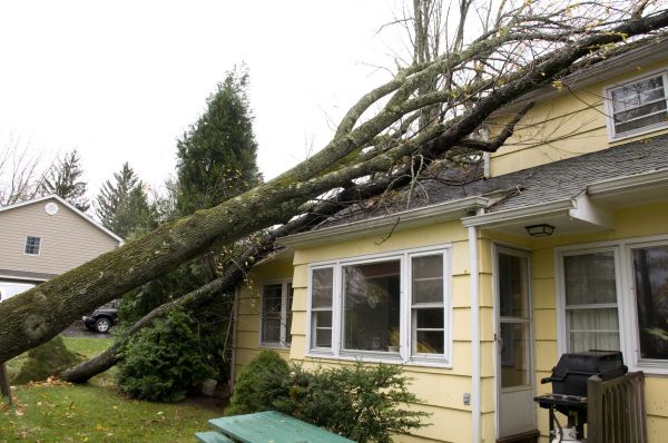 Cost of Hurricane Damage Repair in Murfreesboro