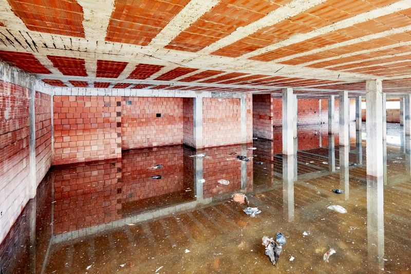 Basement Restoration Service