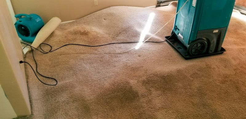 Flood Damage Cleanup detail