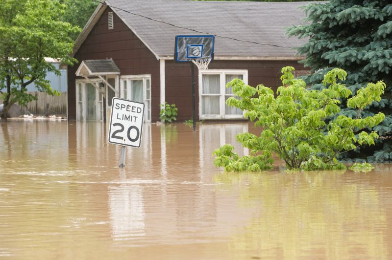 Storm Damage Cleanup detail