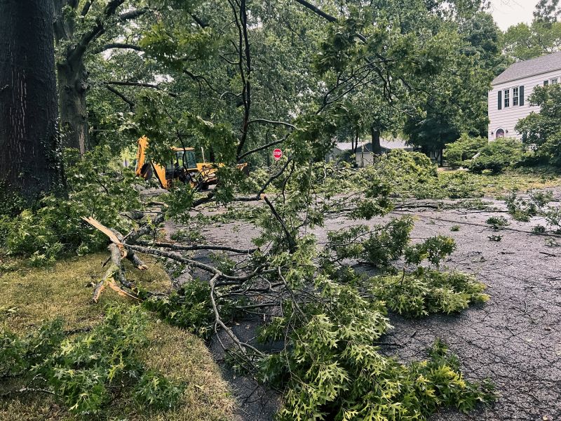 Debris Removal